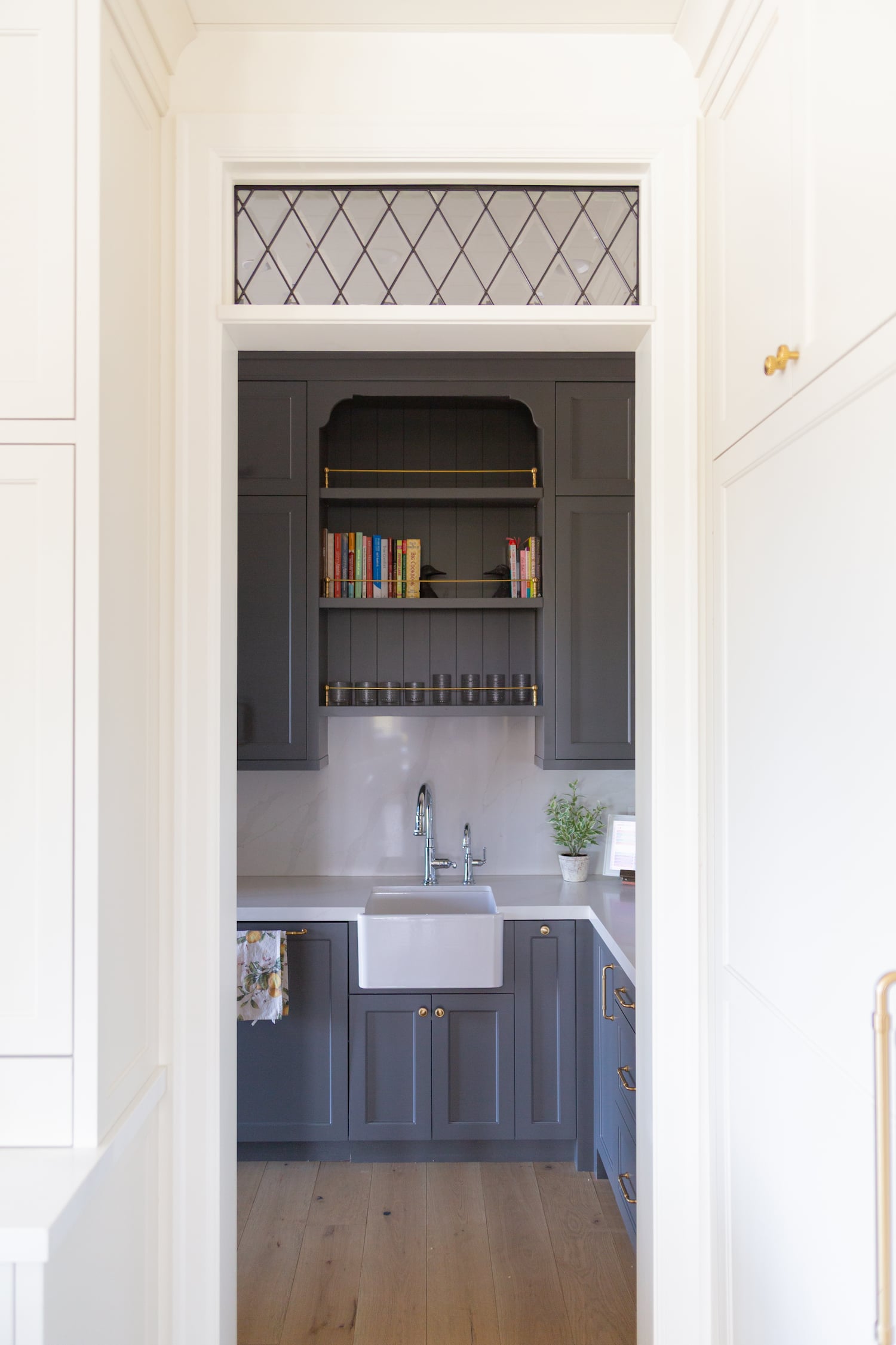 A small kitchen or pantry with dark gray cabinets, a farmhouse sink, open shelves holding books, a potted plant, and light wood flooring.